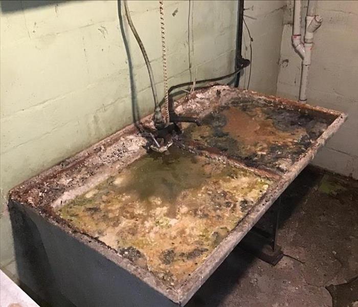 Sewage in a utility sink.