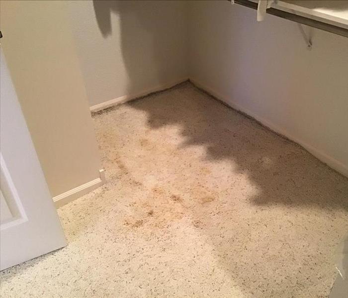 Stains on light carpet after water damage.
