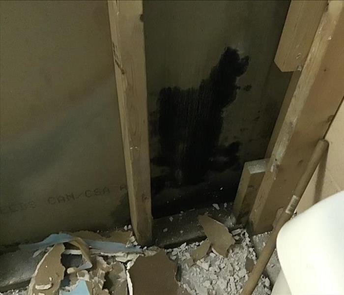 Mold growth on walls in basement
